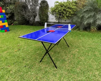 Ping pong